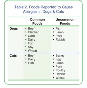 Image showcasing Food Allergy: Diagnostics & Therapeutic Food Options | Today's ...