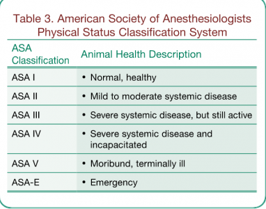 Anesthetic Monitoring Your Questions Answered Today s Veterinary Anesthetic Monitoring Your Questions Answered Today s Veterinary