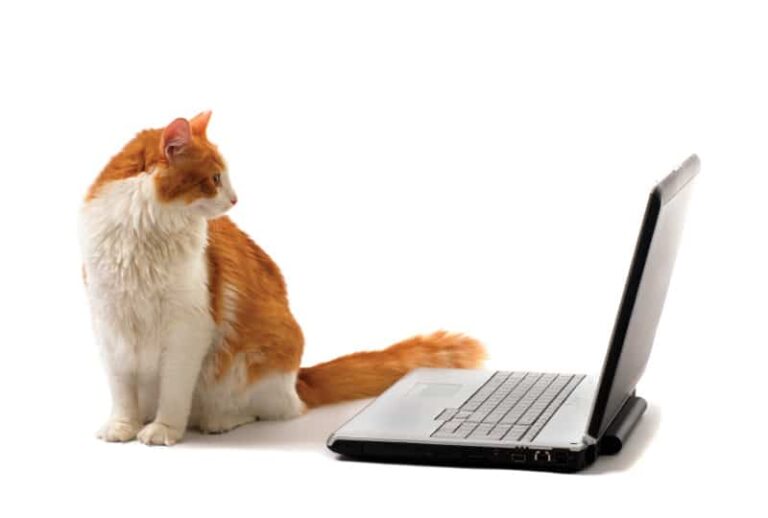 Keeping Up with Today’s Technology and Social Media