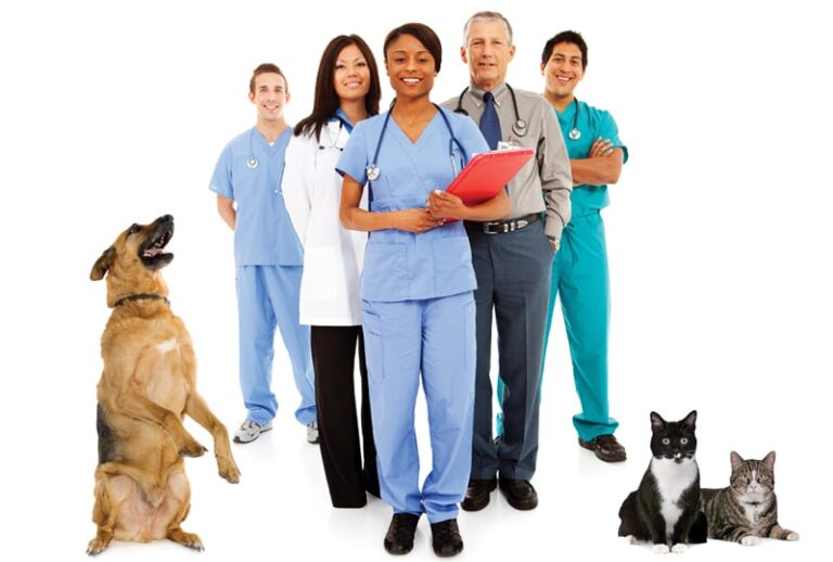 Selecting Continuing Education for Your Practice Team