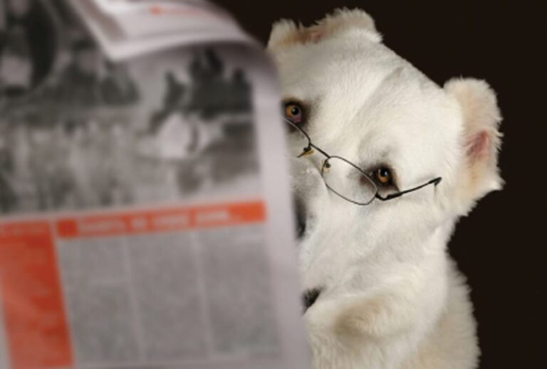 The Future of Veterinary Medicine Makes Headlines: A Response From Our Editorial Team