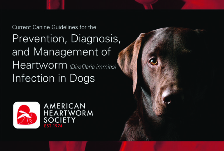 Heartworm Diagnostics: What Do the Latest American Heartworm Society Canine Guidelines Tell Us?