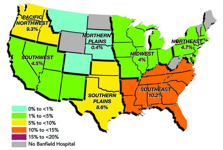Flea Prevalence in Dogs and Cats