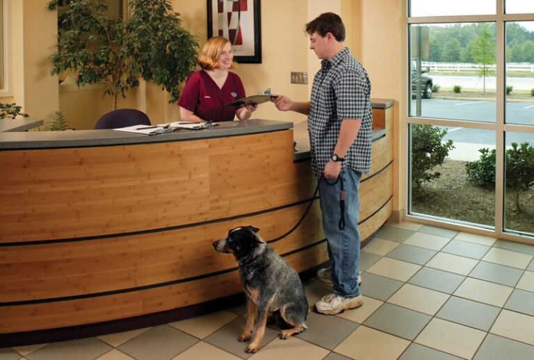 Successful Renovation of a Veterinary Hospital