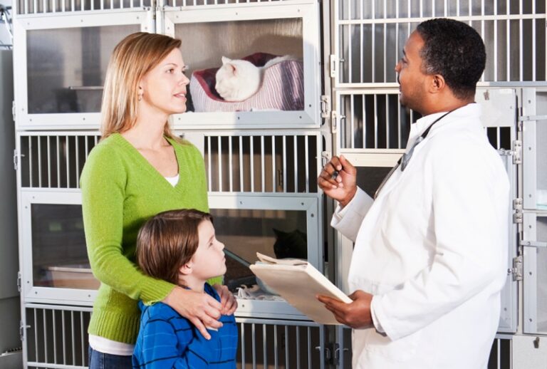 Welfare and Ethics in Veterinary Shelter Medicine