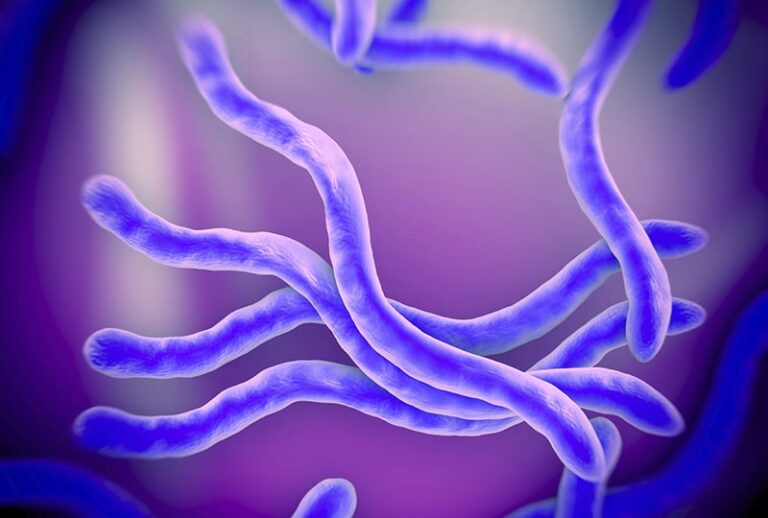 Parasitology Expertise from the NCVP: Canine Tick-Borne Diseases