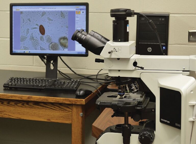Common Questions that Veterinarians Ask Parasitology Experts