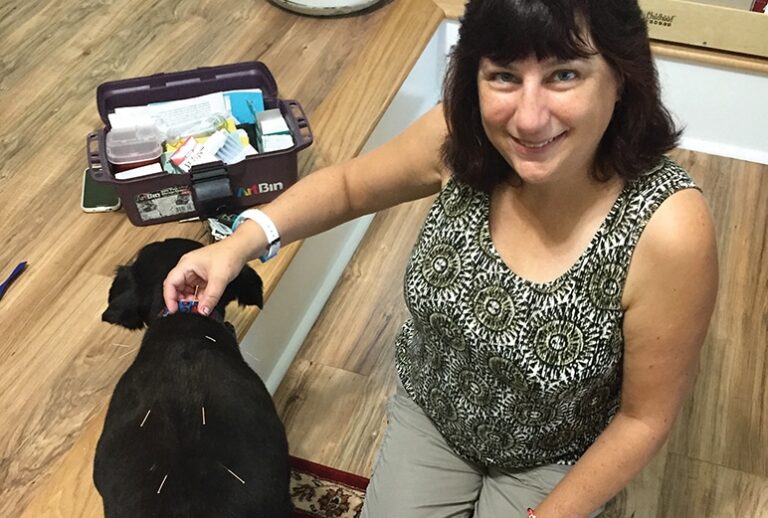The House Call Veterinarian ā An Interview with Dr. Karen Fine