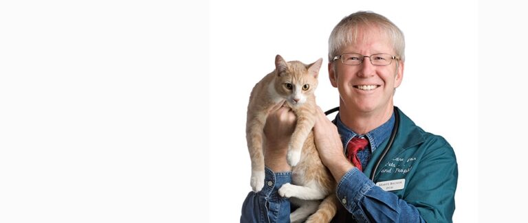 The Value of the Fear Free Initiative ā An Interview with Dr. Marty Becker