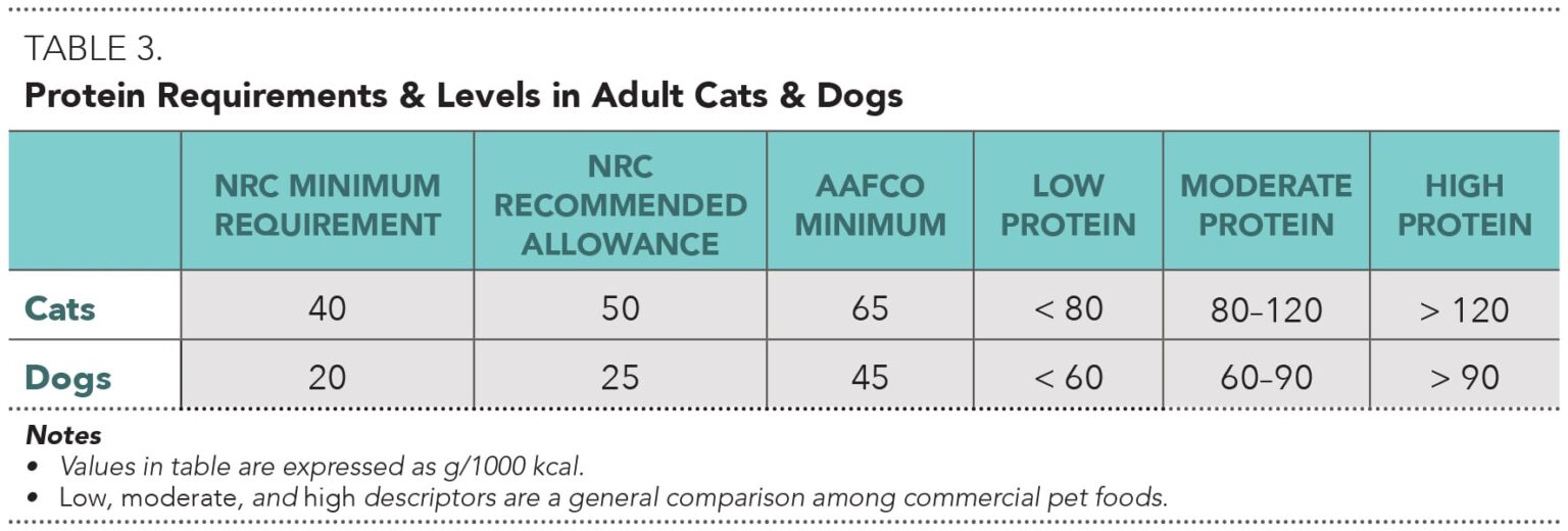 Nutritional Management of Chronic Kidney Disease in Cats & Dogs | Today ...