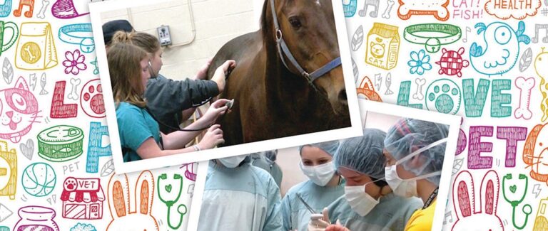 Making Dreams a Reality for Todayās Aspiring Veterinarians ā An Interview with Dr. Chris Carpenter