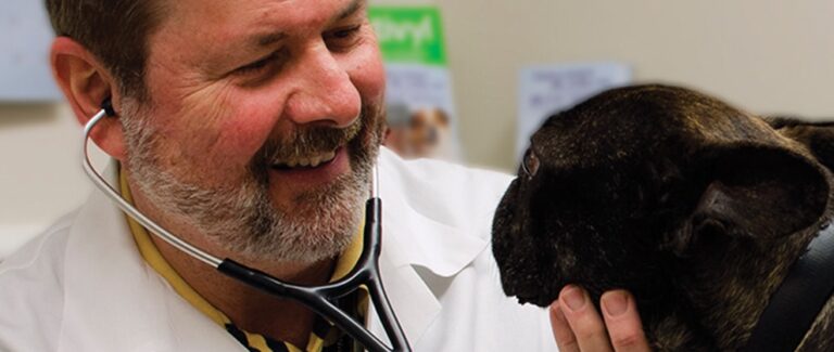 The American Heartworm Society Looks Toward the Future
