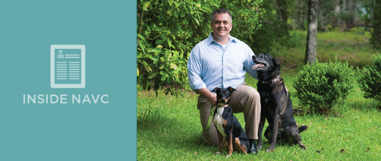 Veterinary Educational Journeys