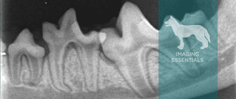 Interpretation of Dental Radiographs in Dogs and Cats, Part 2: Normal Variations and Abnormal Findings