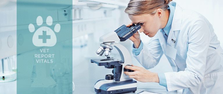 What Does a Rise in Antimicrobial Resistance Mean?