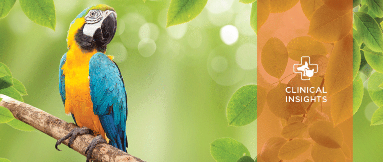 Avian Aspergillosis: What Every Veterinarian Needs to Know