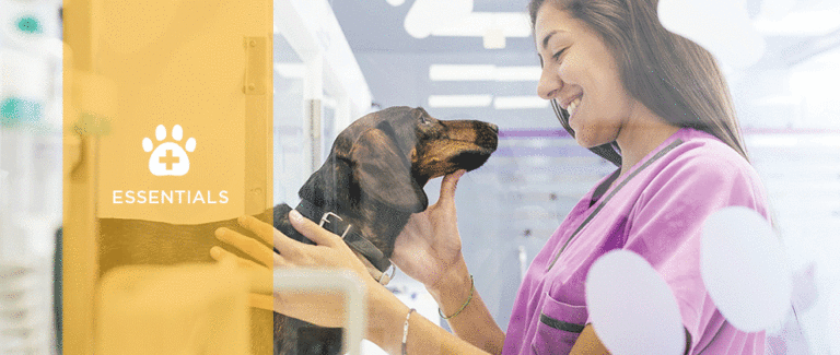 How Swiss Cheese is Helping Banfield Help Pets