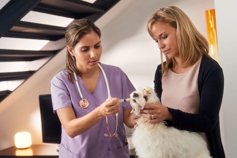 MVS Pet Care Awards First Mobile Franchises