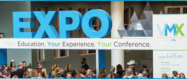 VMX 2019: Your Key to Providing Better Care