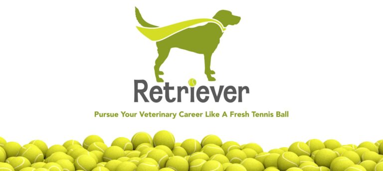Itās Here! Check Out the New Retriever Website Today!
