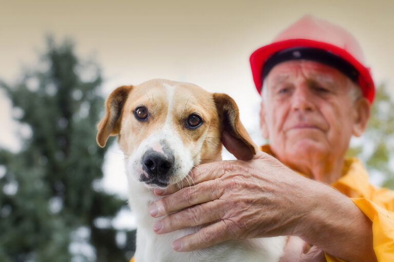 How to Keep Your Pets Safe During a Hurricane