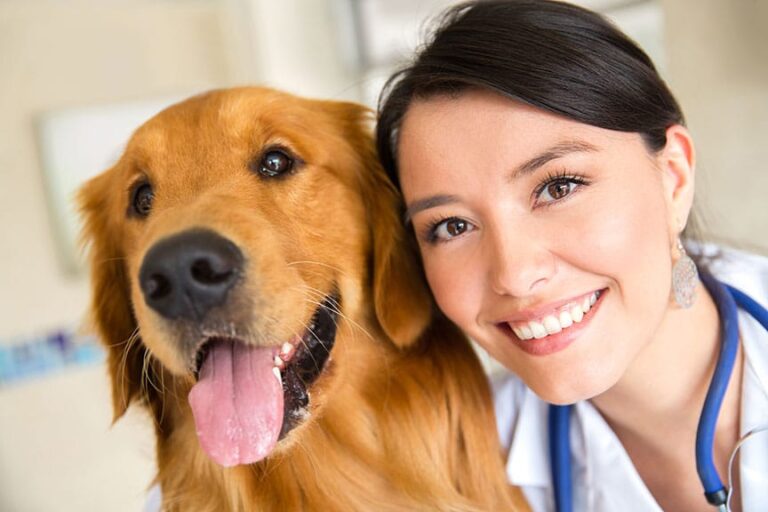 The History of Women in Veterinary Medicine in the U.S.