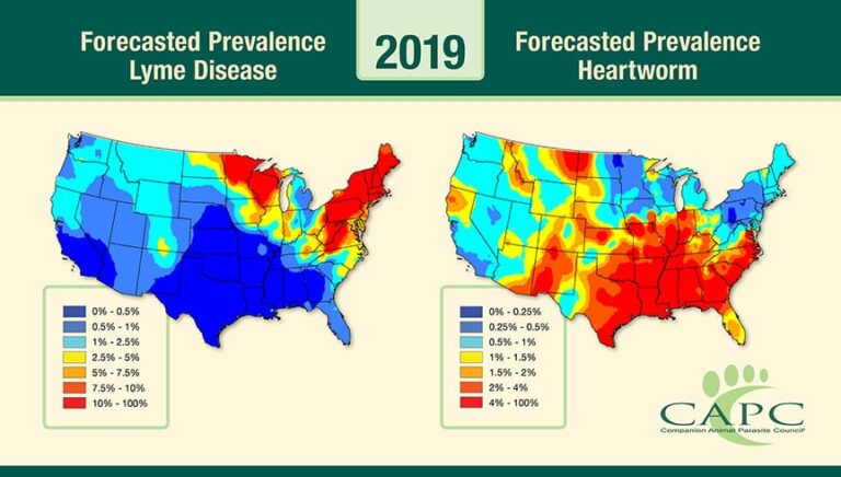 The Companion Animal Parasite Council’s Annual Forecast Is Released