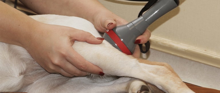 Laser Therapy: Fact or Fancy?