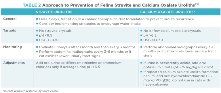Picture of Diagnosing and Managing Feline Lower Urinary Tract Disease