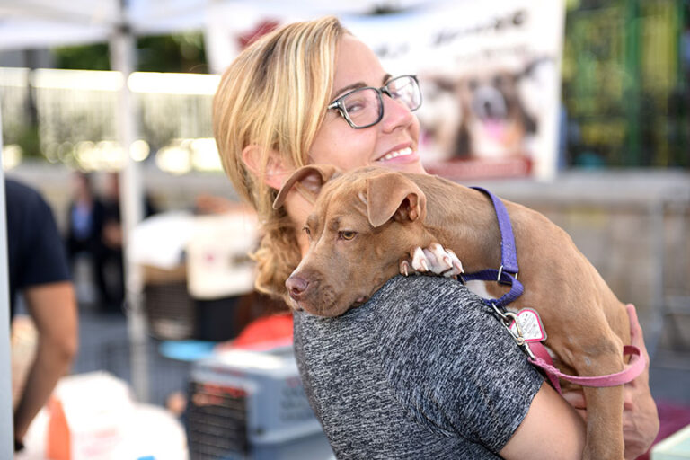 World Animal Day ā 12 Ways to Get Involved