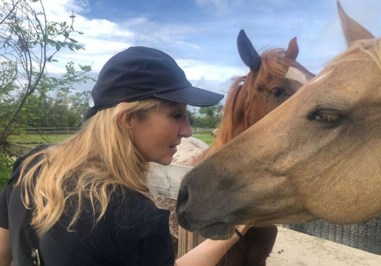 Veterinarians Help Horses Impacted by Hurricane Dorian in the Bahamas