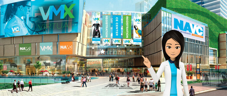 Introducing: VMX Virtual!
