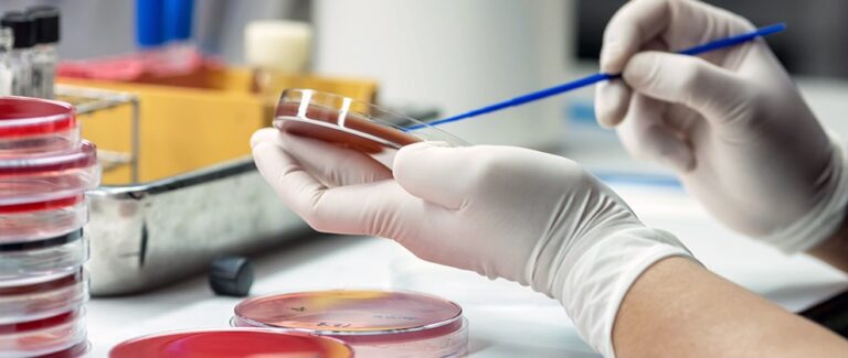 AAVMC and MSD Animal Health Collaborating on Global Antimicrobial Resistance Project