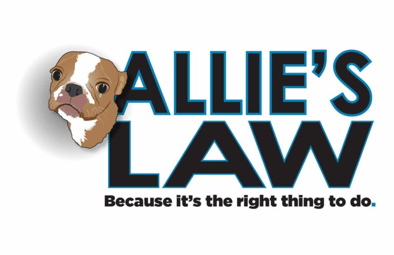Newly Proposed Florida Law Protecting Pets from Abuse has Gained Bipartisan Support