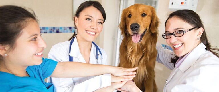 Foster Meaningful Connections as a Human-Animal Bond Certified Practice