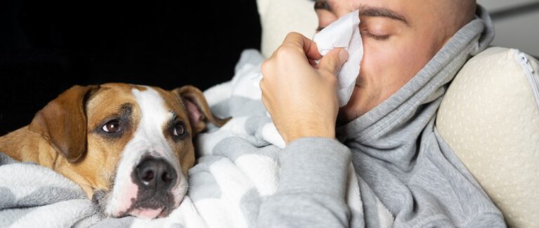 Coronavirus Update: Emerging Strains and Veterinary Patients