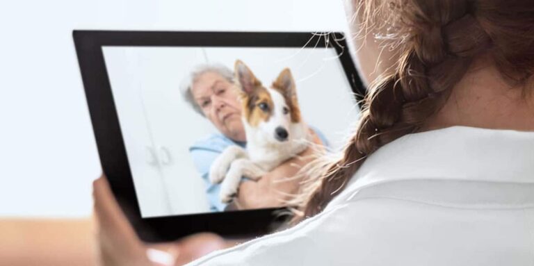 AVMA: Use Telemedicine to Help Care for Veterinary Patients