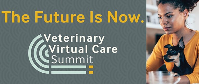 Veterinary Virtual Care Summit Offers Free CE and Telemedicine Training