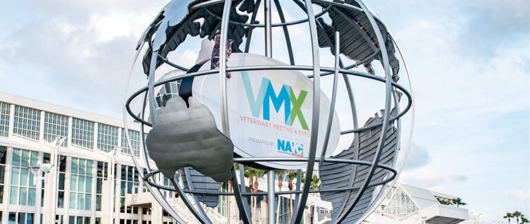 VMX 2021: Forward