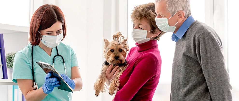 5 Tips for Recognizing and Treating Canine Seizures - Featured Image