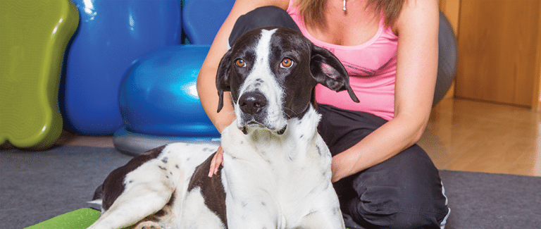 Ask a Specialist: Sports Medicine and Physical Rehabilitation