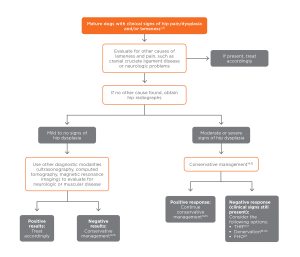 Gallery Detail: Canine Hip Dysplasia Algorithms For When To Refer For Surgery