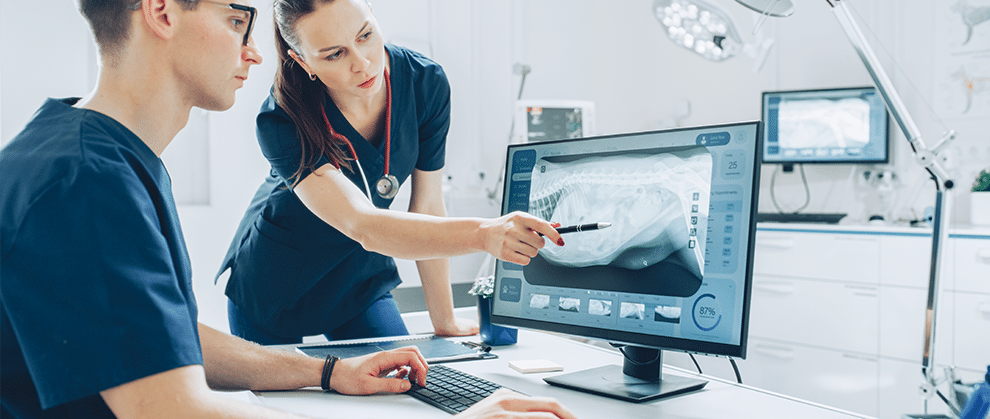 Effective Adoption of Artificial Intelligence in Veterinary Medicine - Featured Image