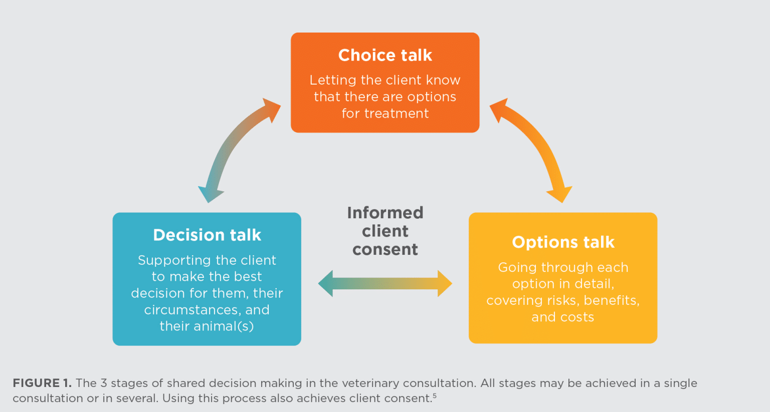 Supporting Shared Decision Making and Client Consent | Today's ...