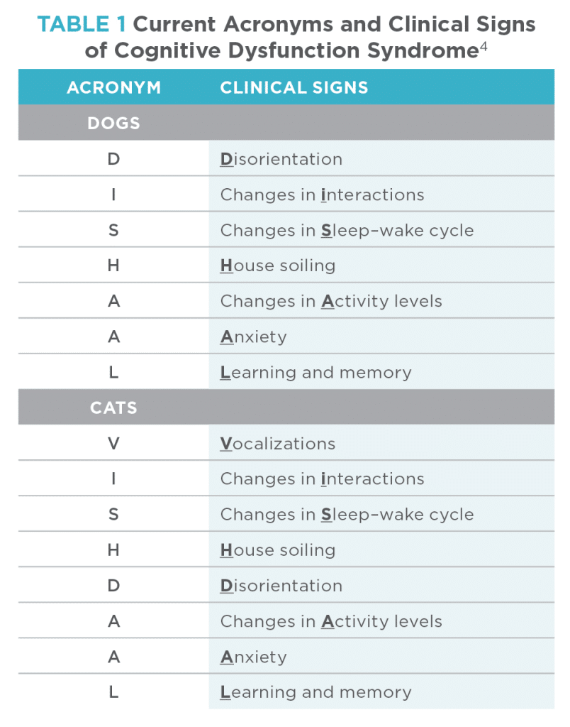 Updates on Cognitive Dysfunction Syndrome | Today's Veterinary Practice