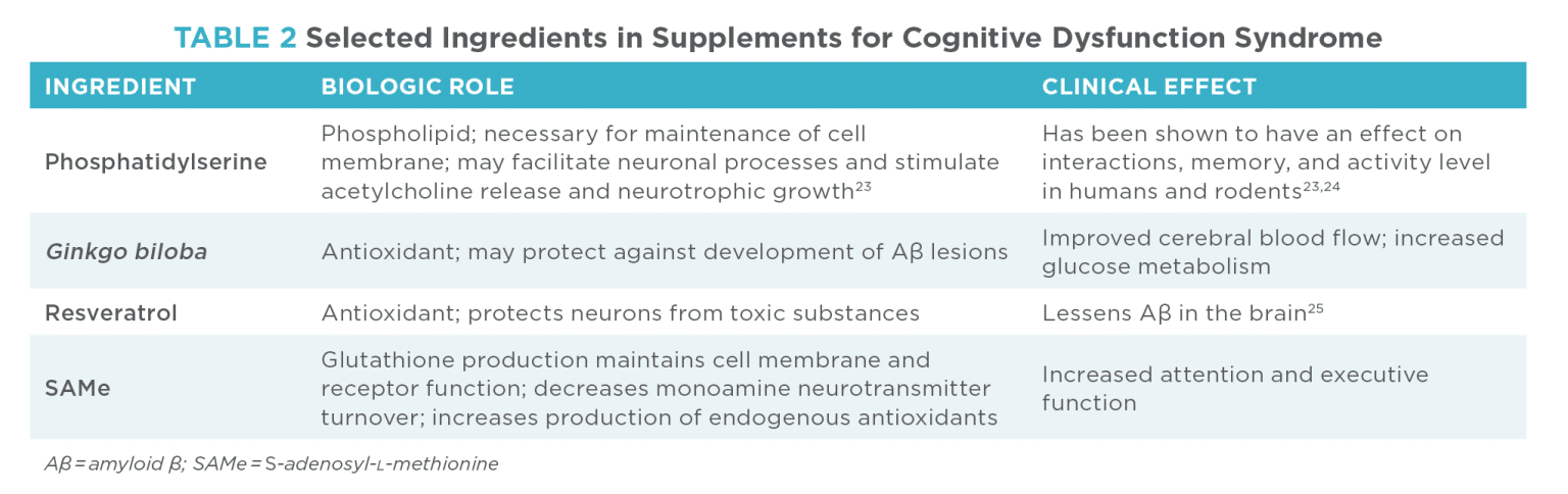 Updates on Cognitive Dysfunction Syndrome | Today's Veterinary Practice