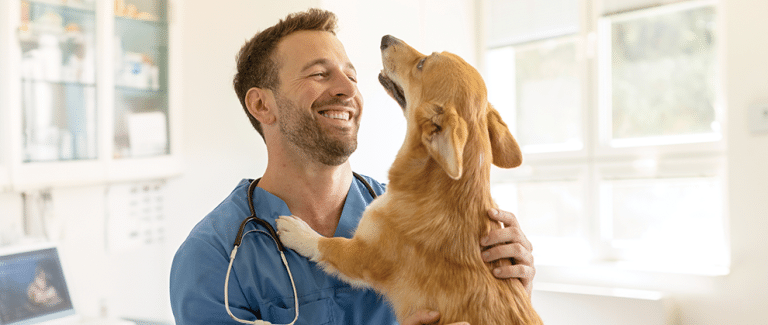 What is Animal Welfare and Why Does It Matter to Veterinarians?
