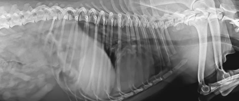 Cut the Radiographs? Rethinking the Restaging of Solid, Soft Tissue Tumors