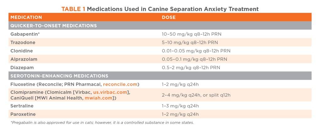 Image showcasing Algorithmic Approach: Separation Anxiety in Dogs | Today's Veterinary ...