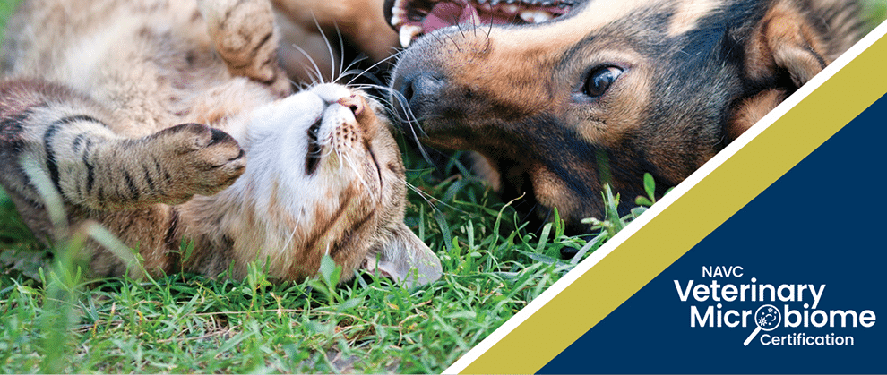 New NAVC Veterinary Microbiome Certification - Featured Image